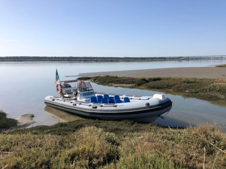 Comporta to Mourisca Tide Mill Boat Tour - Activity Details
