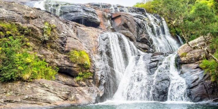 Comprehensive Excursion: Horton Plains and Pedro Tea Factory - Booking and Duration