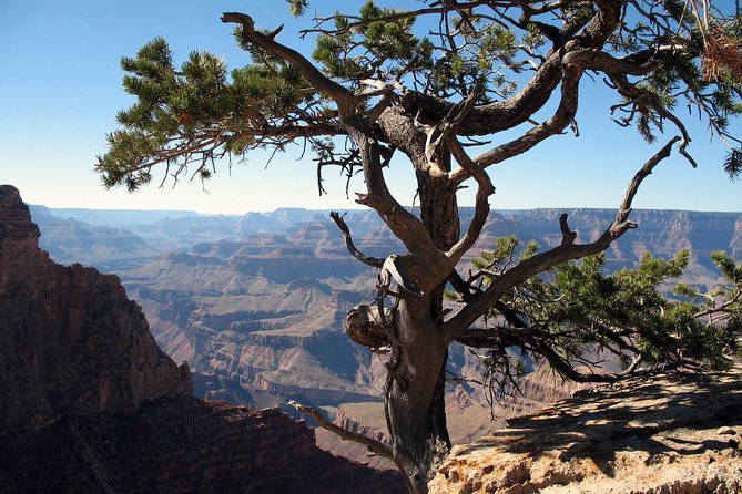 Comprehensive Grand Canyon Tour From Sedona W/Lunch - Tour Details