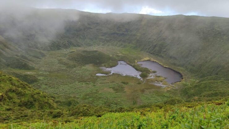 Comprehensive Land and Sea Tour From Pico to Faial Island - Itinerary Highlights