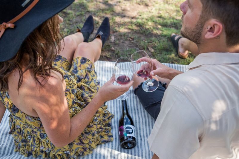 Comyns & Co Wine Tasting in Hunter Valley - A tasting room that welcomes more than wine drinkers