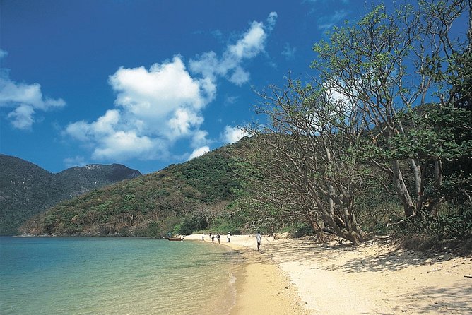 Con Dao Full Day Excursion - Transportation Options