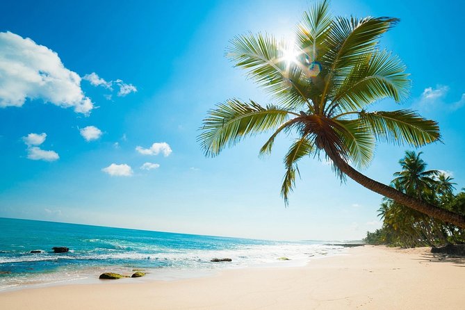 Con Dao Full Day Excursion - Local Attractions and Activities