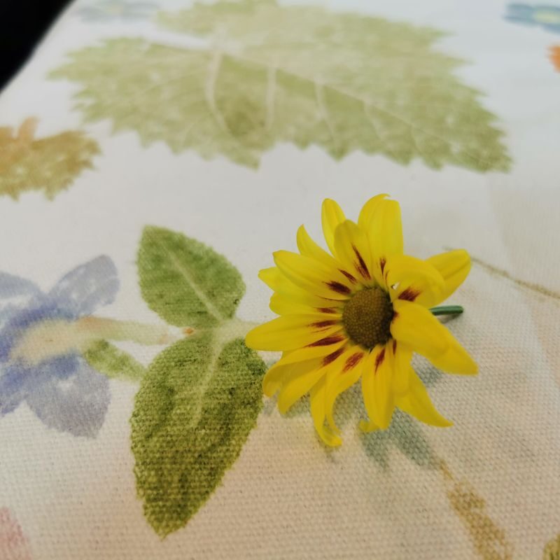 Concept X Plus: Botanical Imprints - A Journey of Serenity - What the price buys