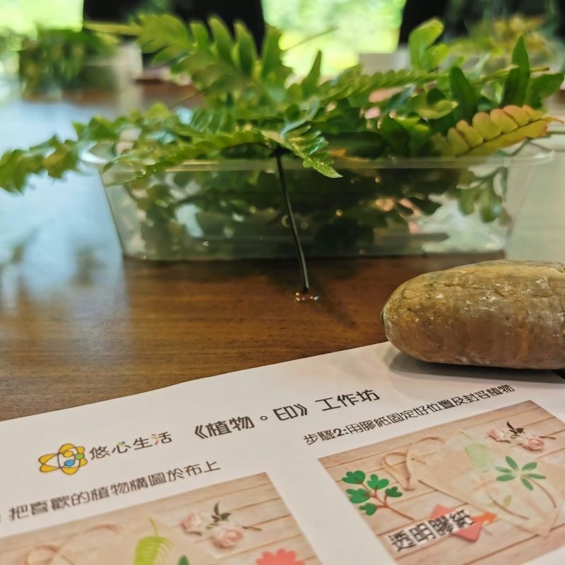 Concept X Plus: Botanical Imprints - A Journey of Serenity - Who will enjoy this workshop