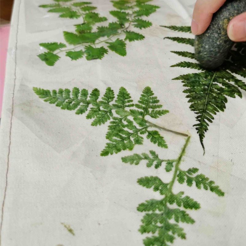 Concept X Plus: Botanical Imprints - A Journey of Serenity - Should you book Concept X Plus?