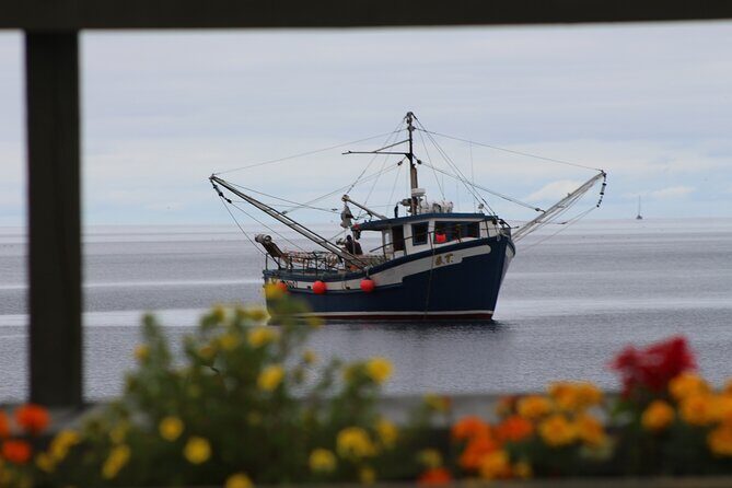 Conception Bay Tour Experience - Comprehensive Review of the Conception Bay Tour