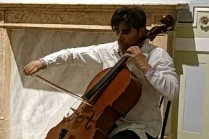 Concert at Palazzo Pisani Revedin in Venice - Limited Availability - Book in Advance