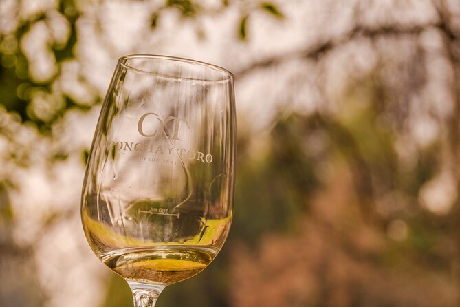 Concha Y Toro Vineyard - Meeting and Pickup Details