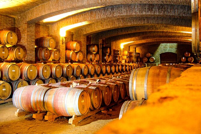 Concha Y Toro Vineyard - Booking Directions and Reservation