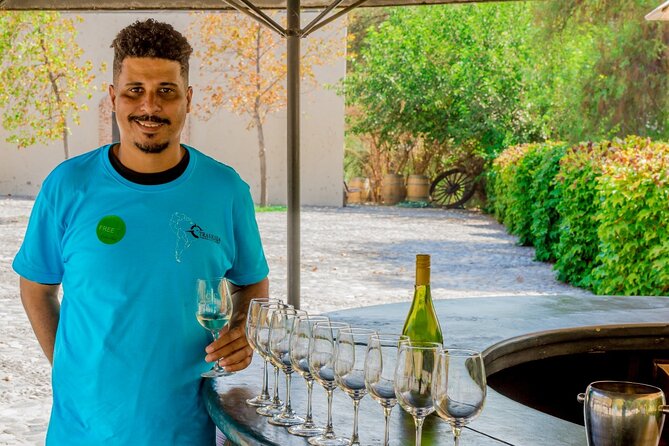 Concha Y Toro Vineyard - Vineyard Overview