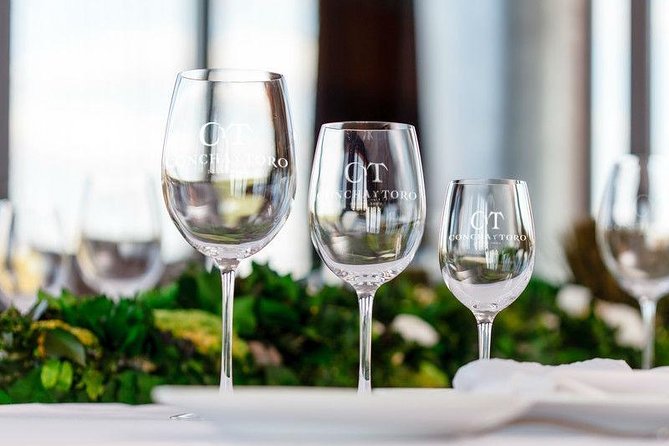 Concha Y Toro Vineyard - Wine Tasting Experience
