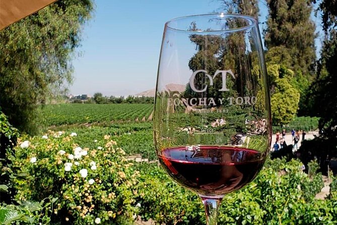 Concha Y Toro Vineyard Tour From Santiago - Pick-up and Cancellation Policy