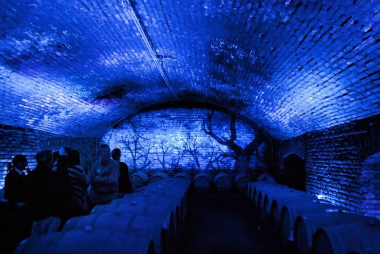 Concha Y Toro Wine Experience - Good To Know