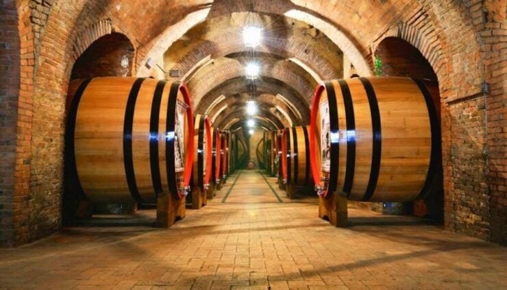 Concha Y Toro Wine Tour - Experience Highlights