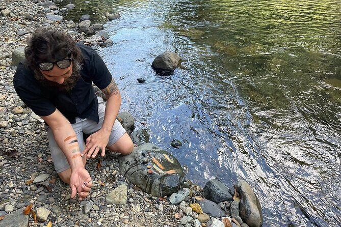 Concrete Jungle to the Actual Jungle, The Complete Package Tour - Good To Know