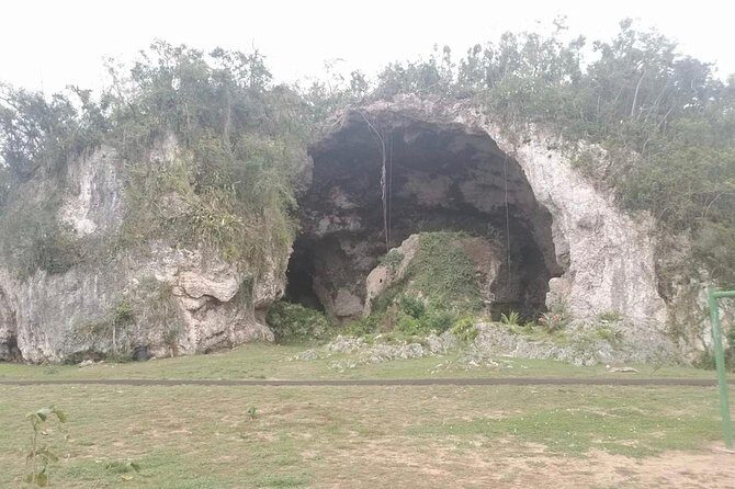 Concrete Jungle to the Actual Jungle, The Complete Package Tour - Seamless Logistics and Personal Touches