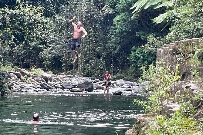 Concrete Jungle to the Actual Jungle, The Complete Package Tour - Pricing and Overall Value