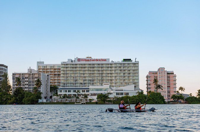 Condado Lagoon: Nature Kayak Tour - Who Should Consider This Tour?