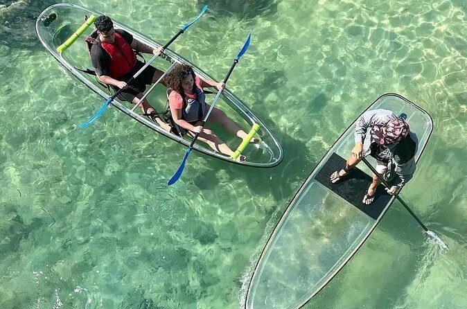 Condado Lagoon: Nature Kayak Tour - Practical Tips for Your Kayaking Adventure