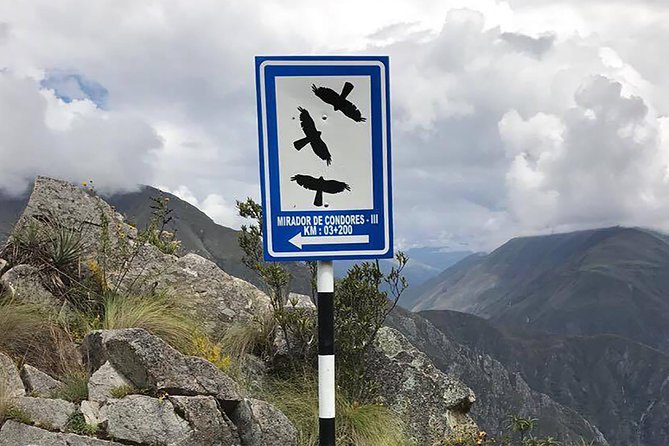 Condor Tour From Cusco - 1 Day - Reviews