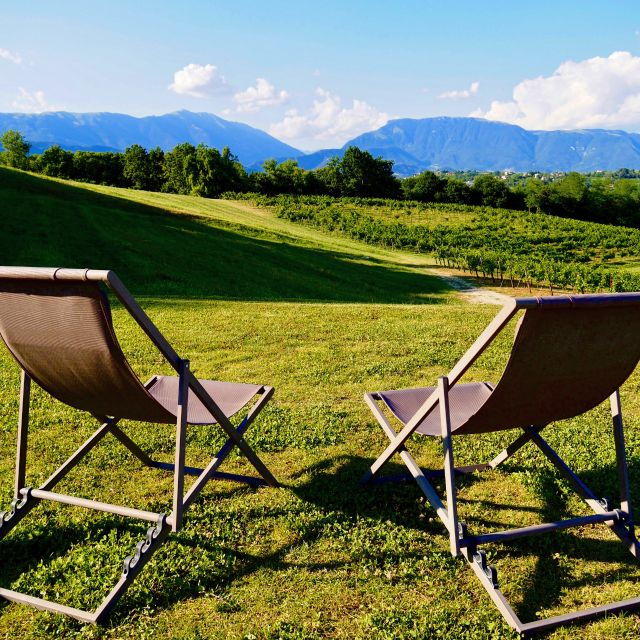 Conegliano: Prosecco Hills and Vineyards Tour - Reviews