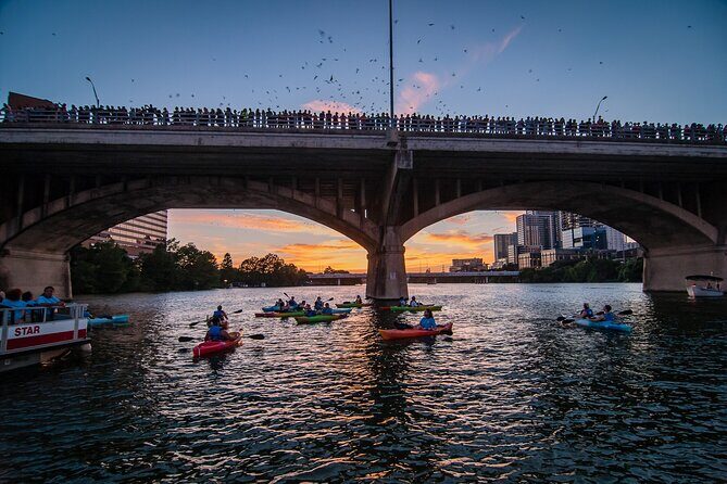 Congress Bridge Kayaking Bat Tour - Exploring the Congress Bridge Kayaking Bat Tour: A Unique Austin Adventure