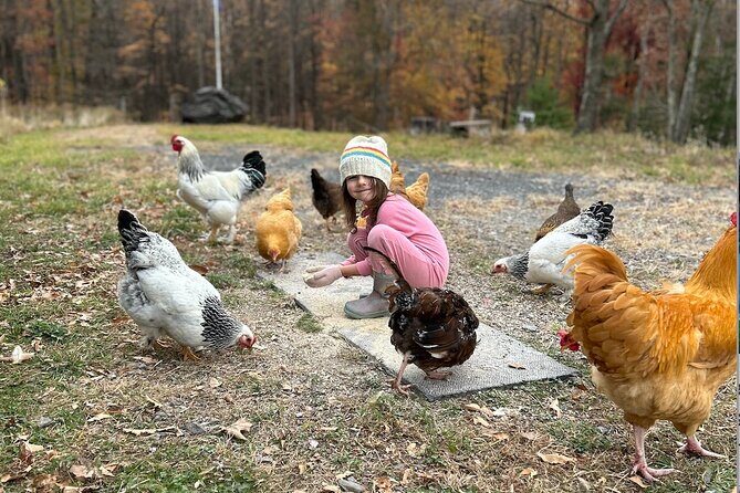 Connect with Rescue Animals on a Private Farm Tour in Catskills - Final Thoughts