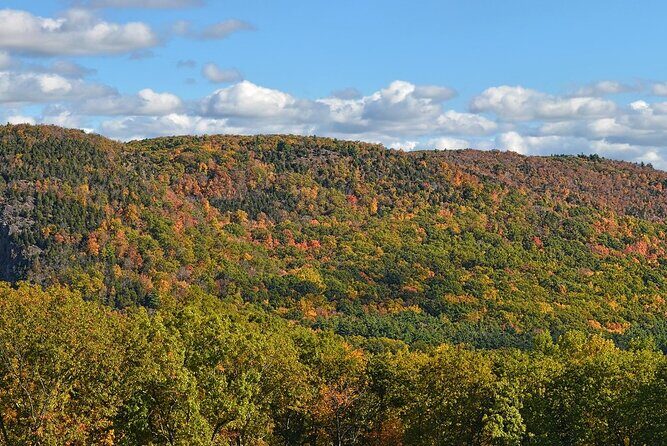 Connecticut Maple Foliage 1 Day Tour From New York - Who Will Love This Tour?