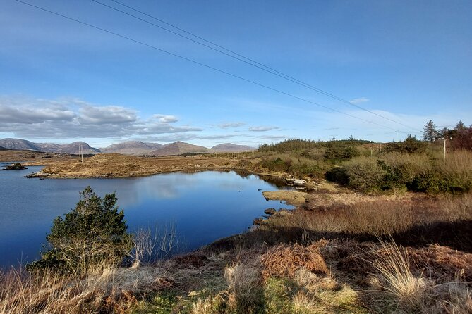 Connemara, Kylemore Abbey, Sky Road Private Half-Day Tour From Galway - Tour Expectations and Accessibility