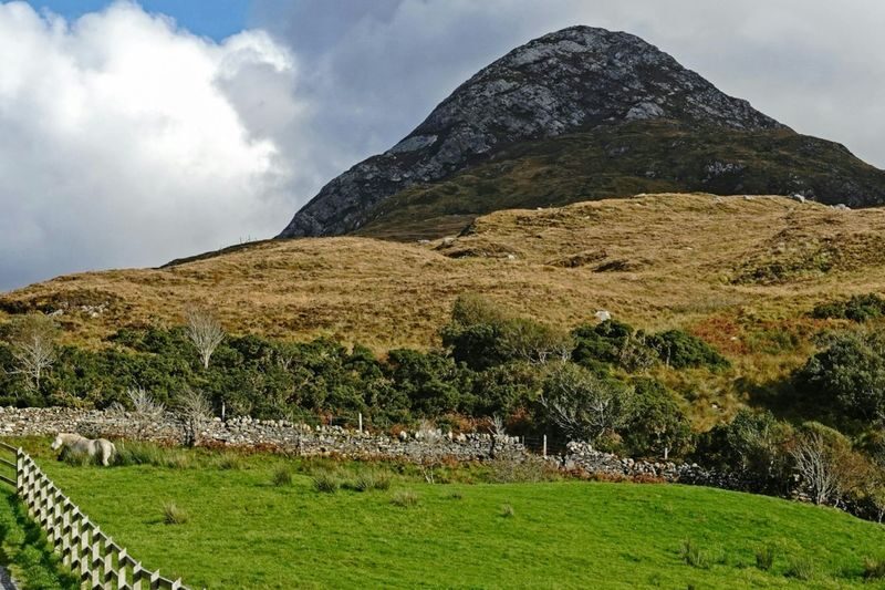 Connemara National Park and Diamond Hill Full-Day Tour from Galway - Leaving Galway for Connemara