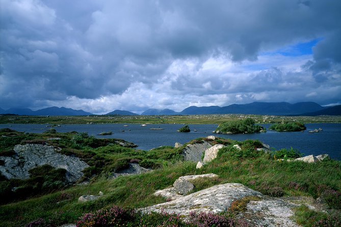 Connemara National Park, Beach & Blanket Bog Ecology Walk. Private Full-Day - Additional Information