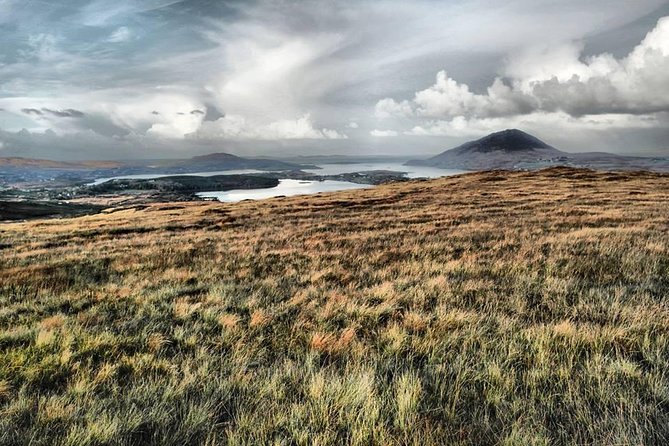 Connemara National Park Nature Trails Self-Guided Including Lunch - Admire Mountains, Woodlands, and Wildlife