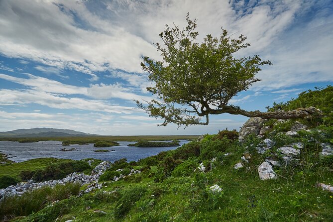 Connemara National Park Nature Trails Self-Guided Including Lunch - Cancellation Policy