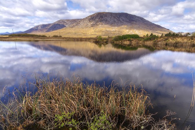 Connemara National Park Nature Trails Self-Guided Including Lunch - Lunch and Refreshments