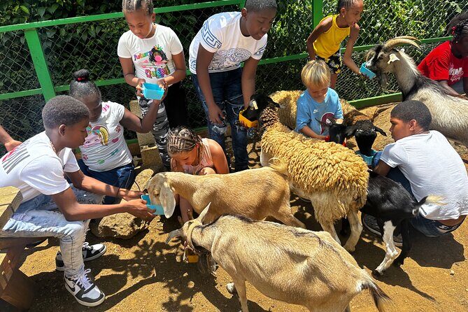 Connors Farms Petting Zoo - What is Connors Farms Petting Zoo?