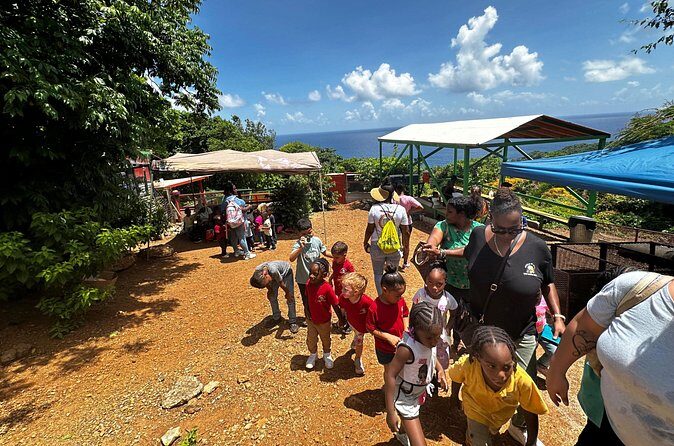 Connors Farms Petting Zoo - The Views and Setting