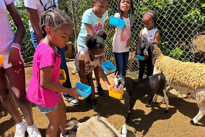 Connors Farms Petting Zoo - Practical Details: Pricing, Booking, and Logistics