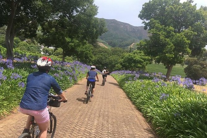 Constantia Full-Day Private Bike Tour, Wine Farms, and Lunch  - Cape Town - Tour Highlights