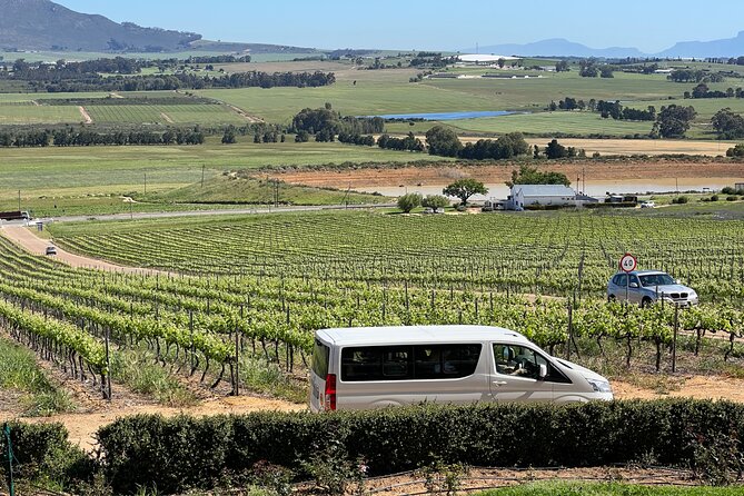 Constantia Half Day Wine Tasting Tour - Tour Terms and Conditions