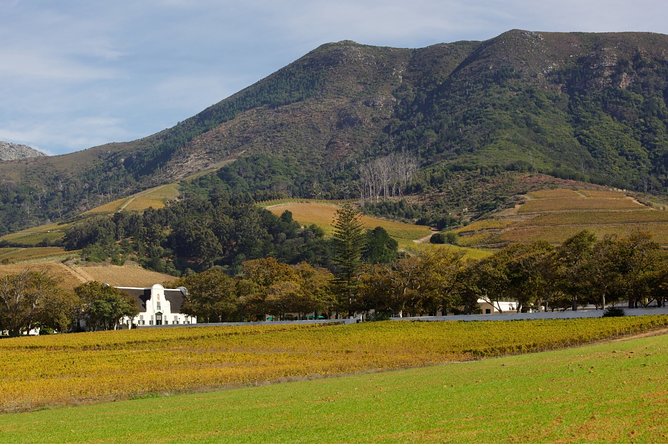 Constantia Hidden Gem Cycle Half Day - Private Tour - Additional Information and Policies
