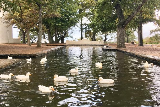 Constantia Hidden Gem Cycle Half Day - Private Tour - Cancellation Policy and Refunds