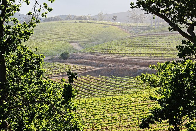 Constantia Winelands From Cape Town Half Day Trip - Pickup and Safety