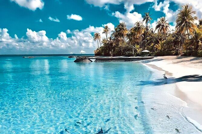 Contoy Adventure! Ixlache Reef Snorkel from Playa del Carmen - The Sum Up