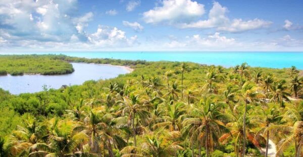 Contoy and Isla Mujeres Island - Snorkeling the Barrier Reef