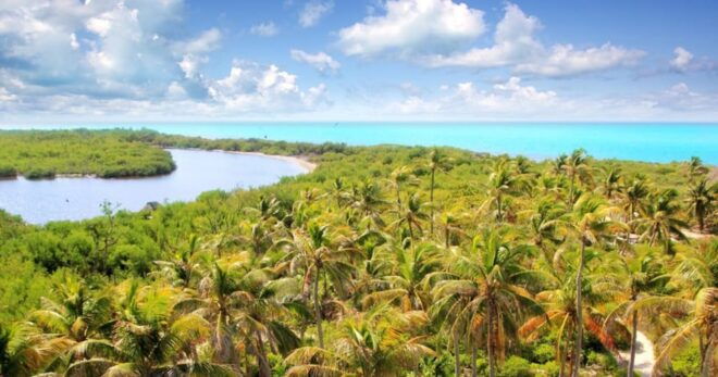 Contoy and Isla Mujeres Island - Included in the Tour