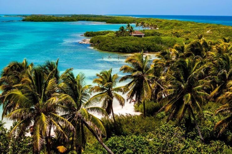Contoy and Mujeres Islands Tour With Transfer Options - Experience Highlights
