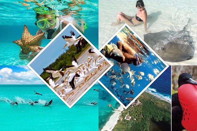 Contoy Island - Wildlife and Marine Life on Contoy Island