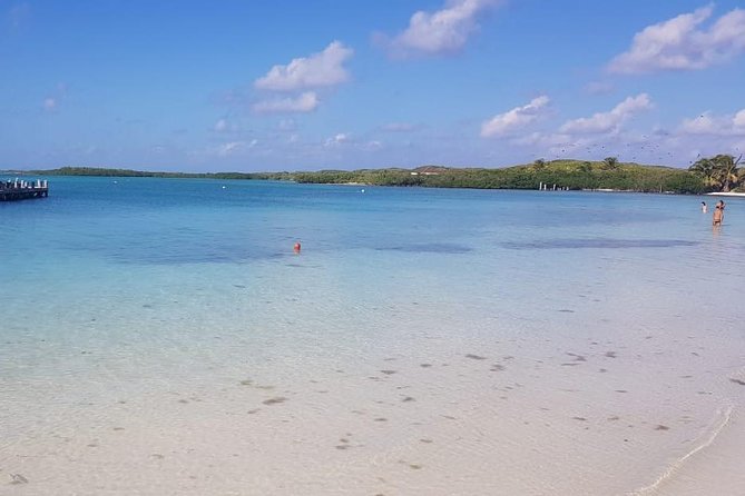 Contoy Island - Tips for a Memorable Visit to Contoy Island