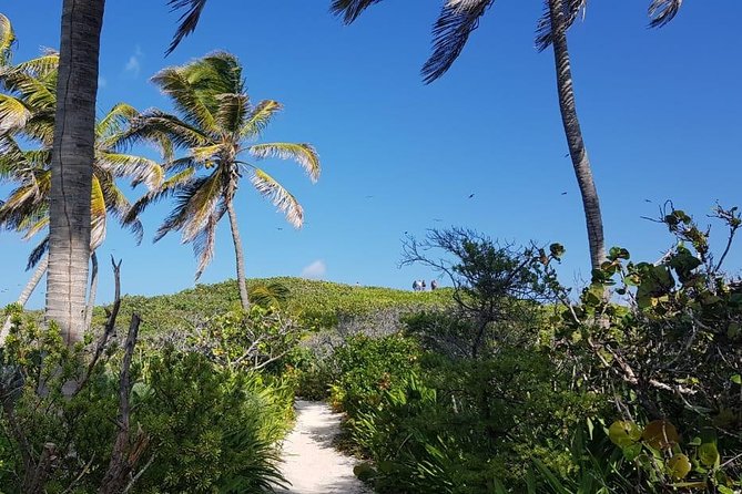 Contoy Island - Common Questions